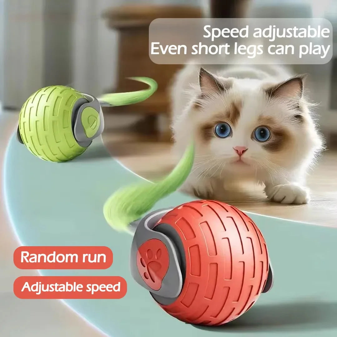 Smart Cat Interactive Rolling Ball Toy