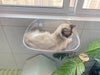 Window Cat Perch Bed