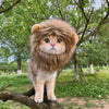 RoarReady Lion Costume