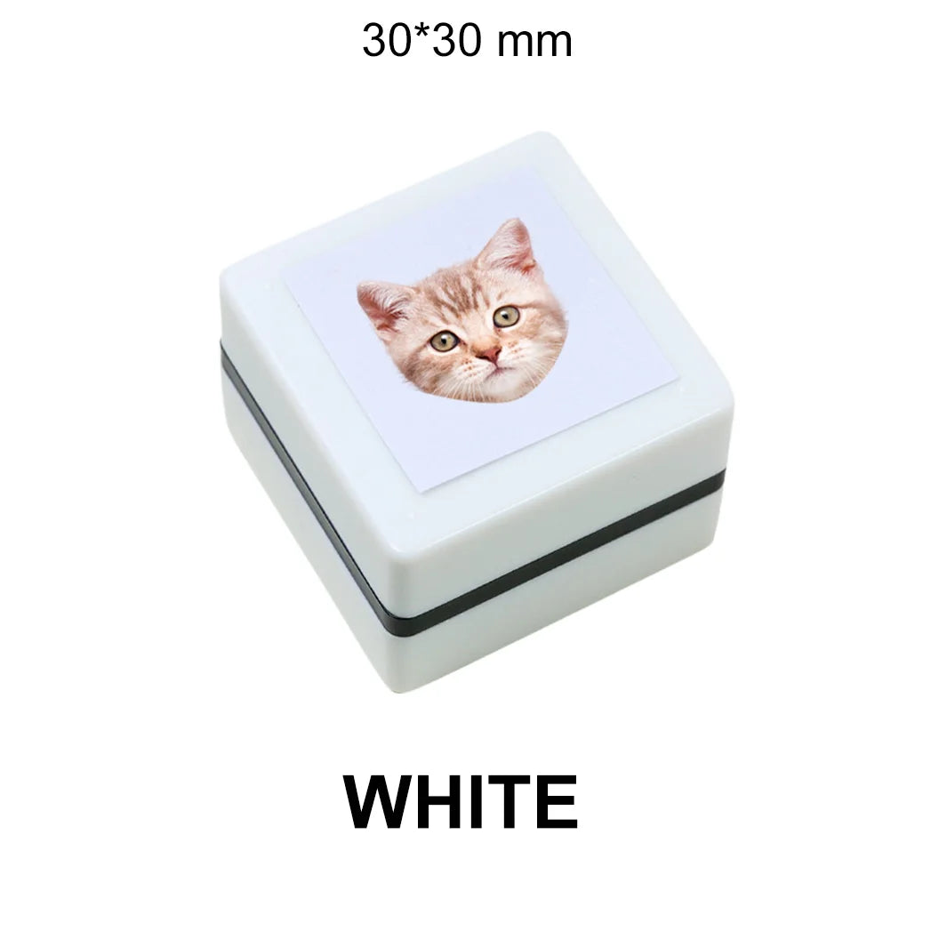 50024458387783