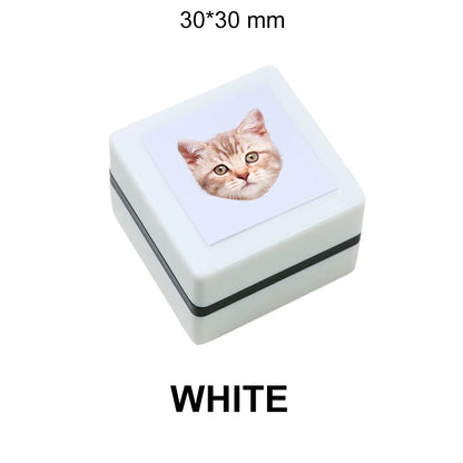 50024458387783