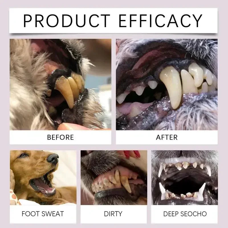 Pet Dental Pen – Fresh Breath & Clean Teeth