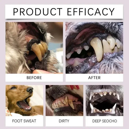 Pet Dental Pen – Fresh Breath & Clean Teeth