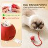 Smart Cat Interactive Rolling Ball Toy