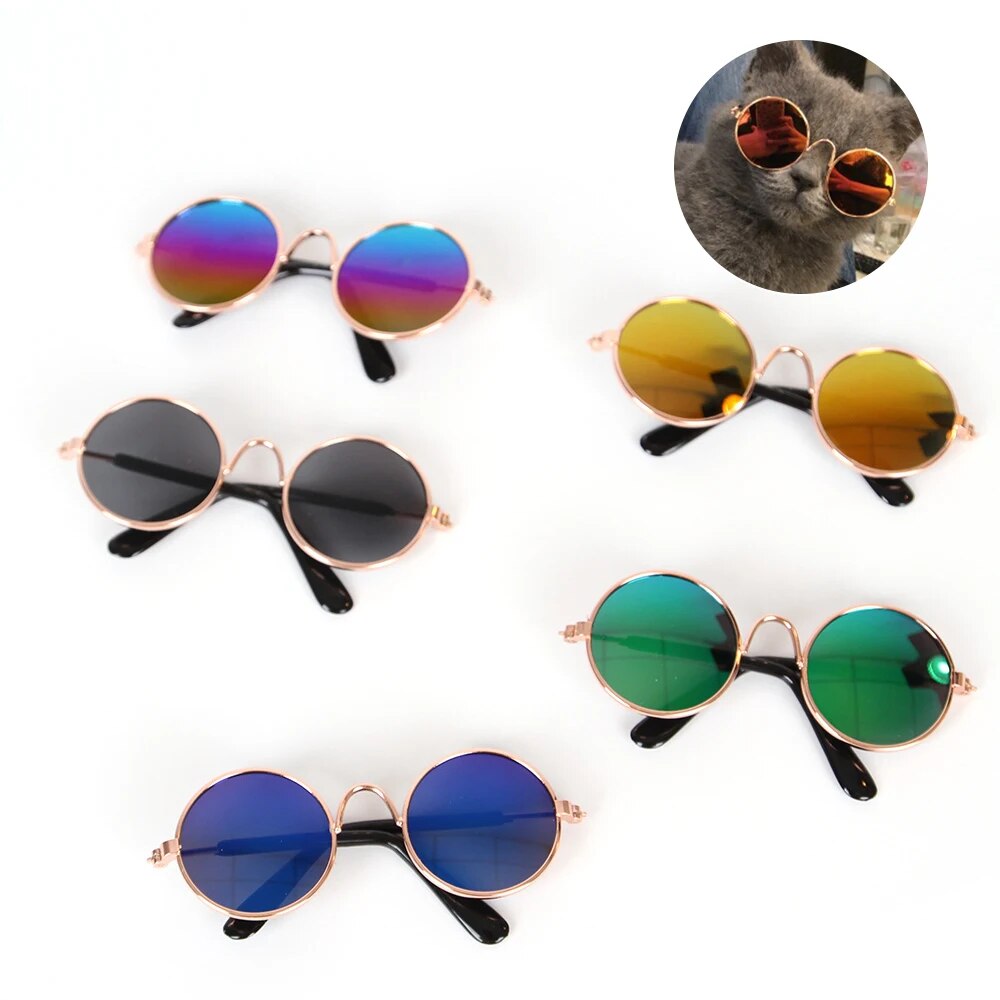 CatVista Sunglasses