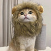 RoarReady Lion Costume