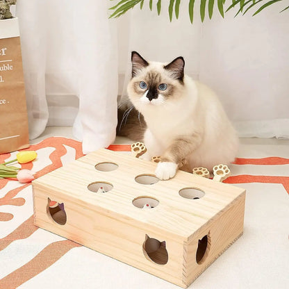 Interactive Wooden Cat Toy