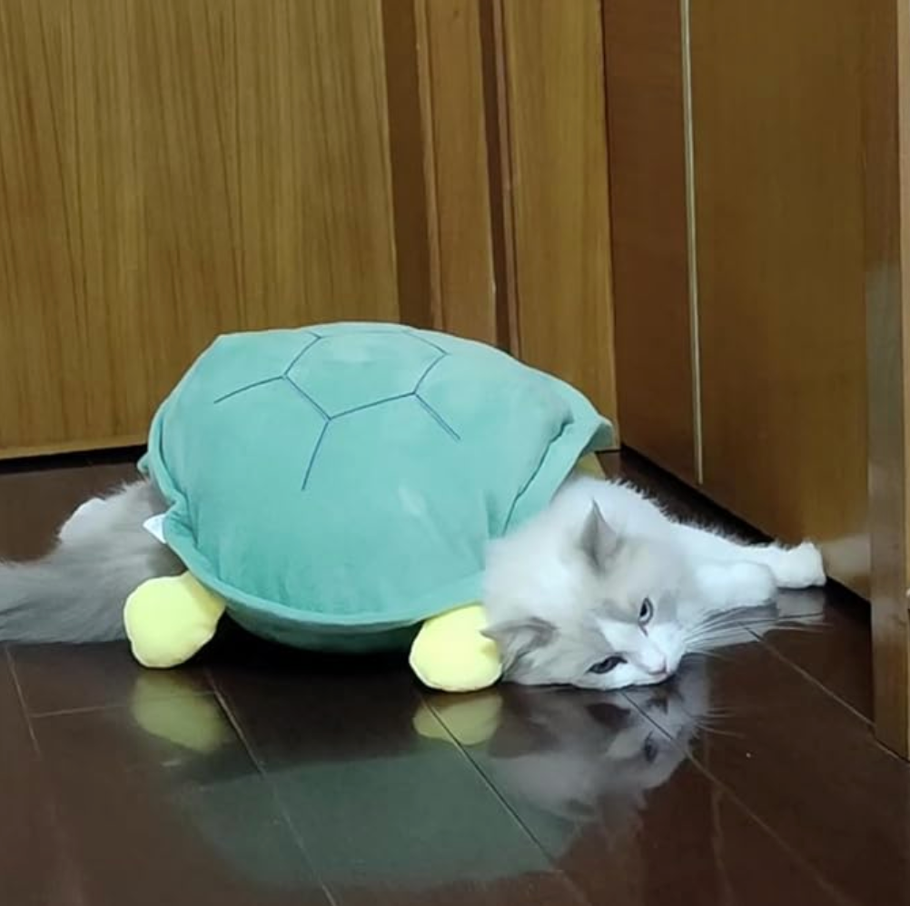 Turtle Shell Costume for Cats and Dogs