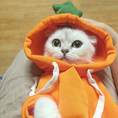 Multiple Adorable Cat Costumes