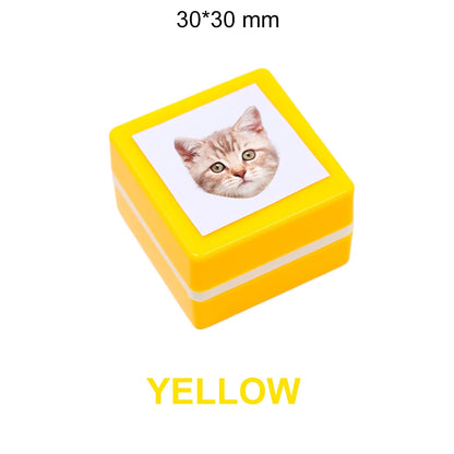 50024458453319