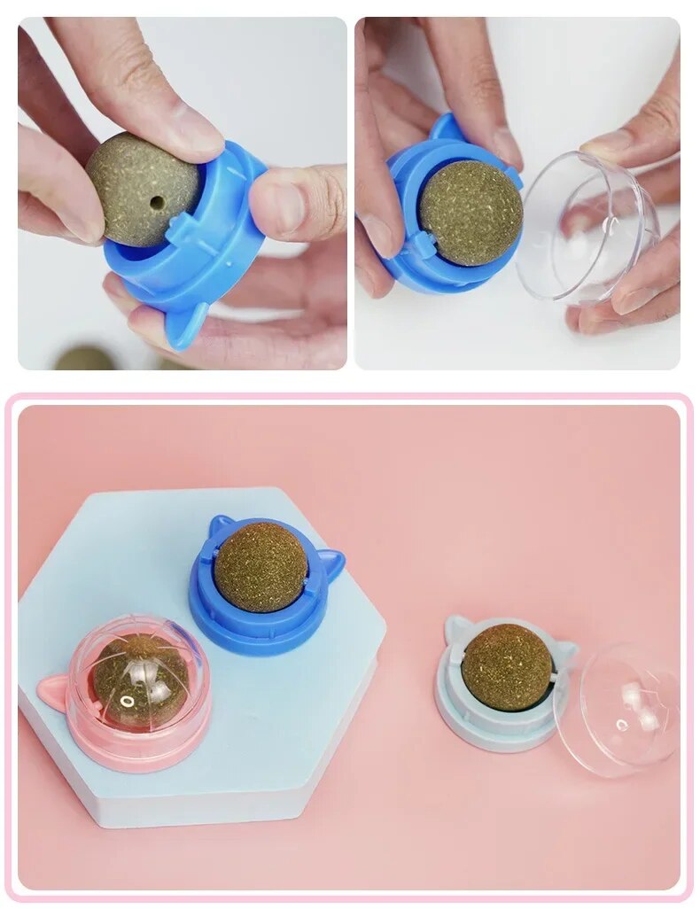 Nutritious Catnip Energy Ball Snacks