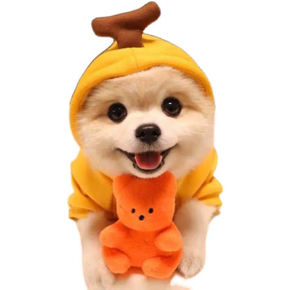 Multiple Adorable Cat Costumes