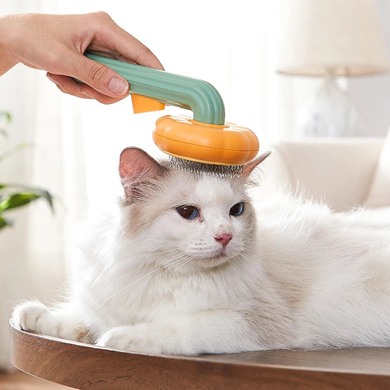 Pumpkin Cat Hair Brush