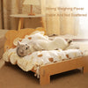 Teddy Bear Cat Bed – Wooden Indoor Pet Furniture