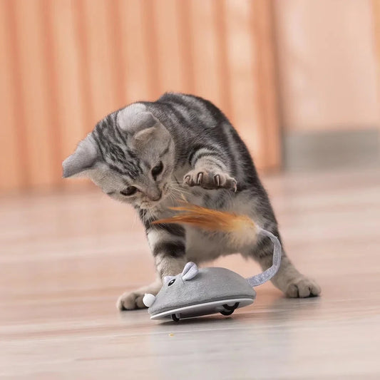 A kitten playing with a gray interactive cat toy shaped like a mouse on a floor.