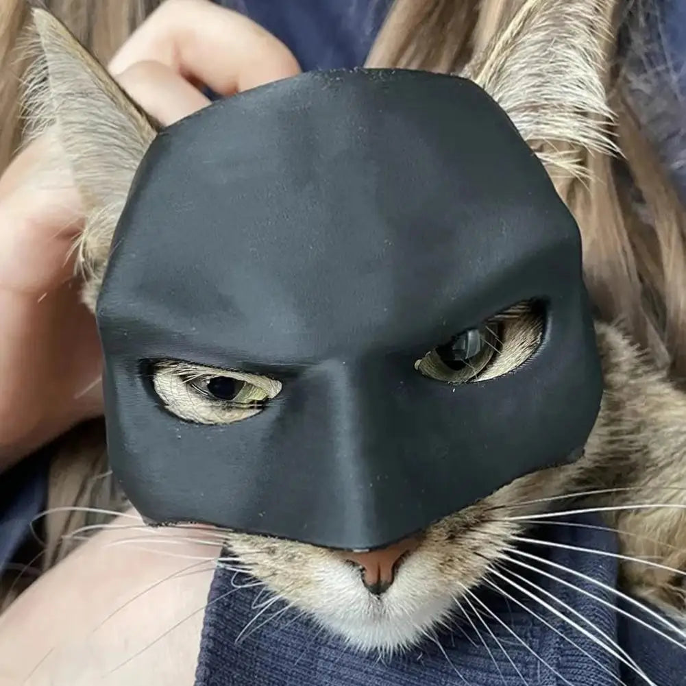 A cat wearing a black bat-themed cosplay mask with visible whiskers and eyes.