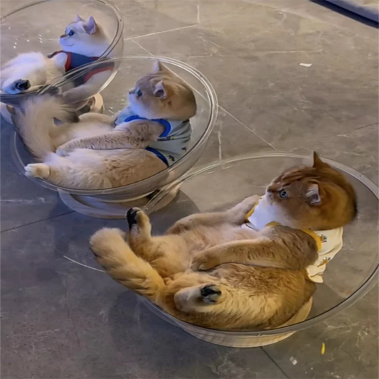 Universal Capsule Removable Cat Bed
