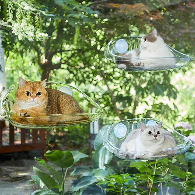 Multiple cats lounging on clear window perch beds attached to a window, with a lush green outdoor background.