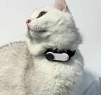 CatCamPro™