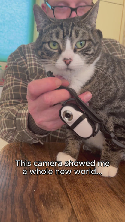 CatCamPro™ 4k